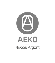Badge du niveau argent