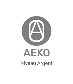 Badge du niveau Argent
