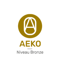 Badge du niveau bronze