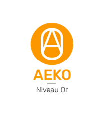 Badge du niveau or